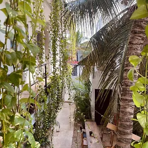  Gasthof Anana Coliving