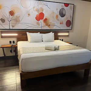 Szálloda Kavia 5th Avenida (adults Only), Playa del Carmen